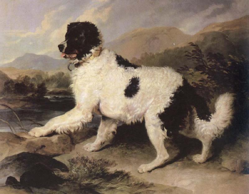 Sir Edwin Landseer lion a newfoundland dog oil painting image